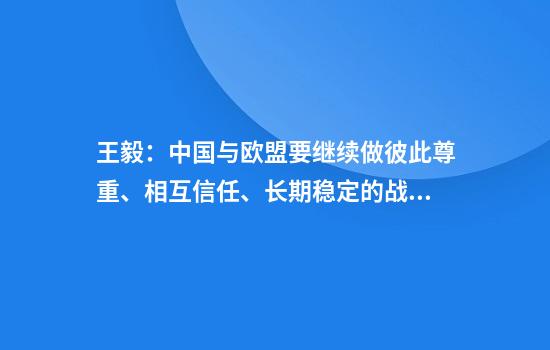 王毅：中国与欧盟要继续做彼此尊重、相互信任、长期稳定的战略伙伴