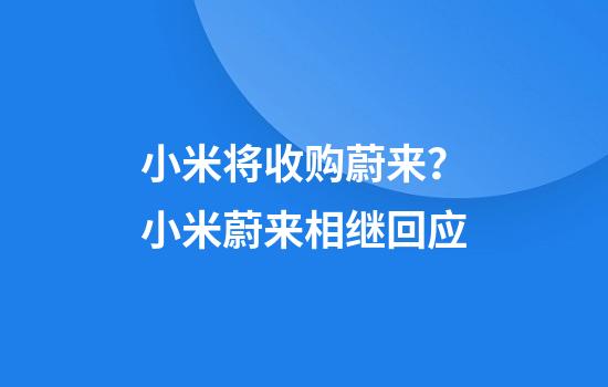 小米将收购蔚来？小米蔚来相继回应