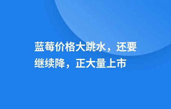 蓝莓价格大跳水，还要继续降，正大量上市