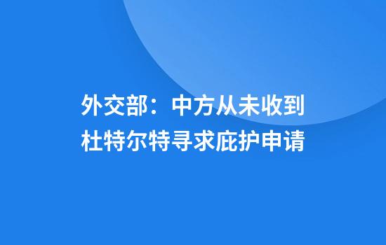 外交部：中方从未收到杜特尔特寻求庇护申请
