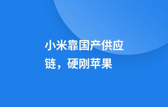 小米靠国产供应链，硬刚苹果