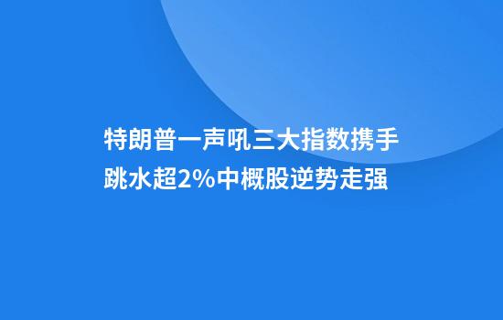 特朗普一声吼三大指数携手跳水超2%中概股逆势走强