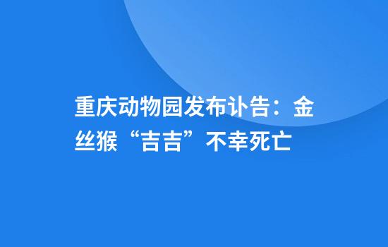 重庆动物园发布讣告：金丝猴“吉吉”不幸死亡