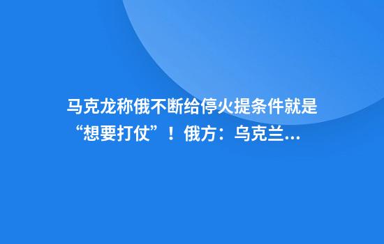 马克龙称俄不断给停火提条件就是“想要打仗”！俄方：乌克兰特工假借美国智库名义在俄窃取机密情报
