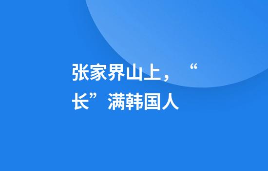 张家界山上，“长”满韩国人