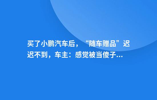 买了小鹏汽车后，“随车赠品”迟迟不到，车主：感觉被当傻子耍