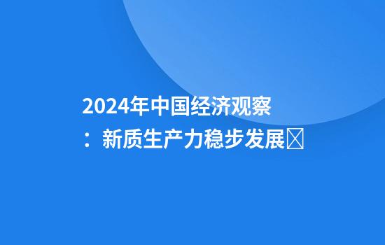 2024年中国经济观察：新质生产力稳步发展​