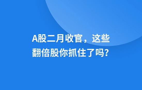 A股二月收官，这些翻倍股你抓住了吗？