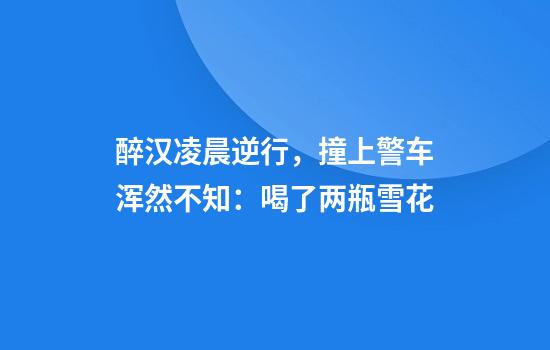 醉汉凌晨逆行，撞上警车浑然不知：喝了两瓶雪花