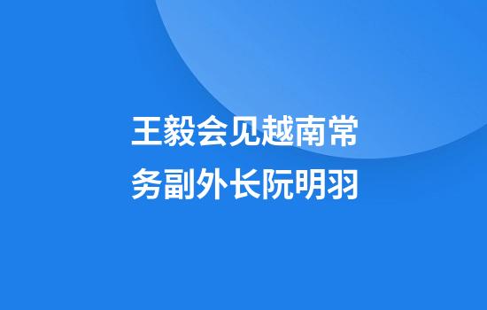 王毅会见越南常务副外长阮明羽