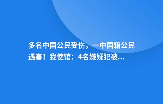 多名中国公民受伤，一中国籍公民遇害！我使馆：4名嫌疑犯被缉拿归案