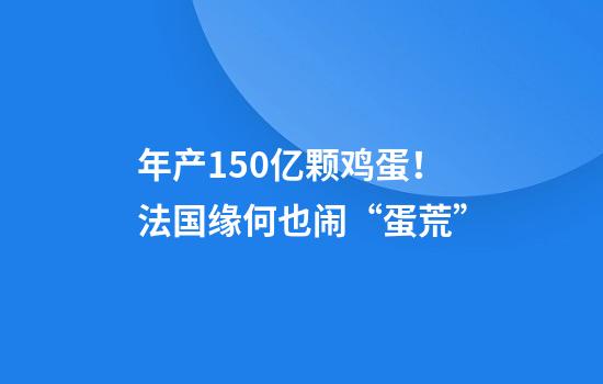 年产150亿颗鸡蛋！法国缘何也闹“蛋荒”