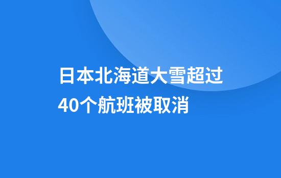 日本北海道大雪超过40个航班被取消
