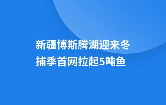 新疆博斯腾湖迎来冬捕季首网拉起5吨鱼