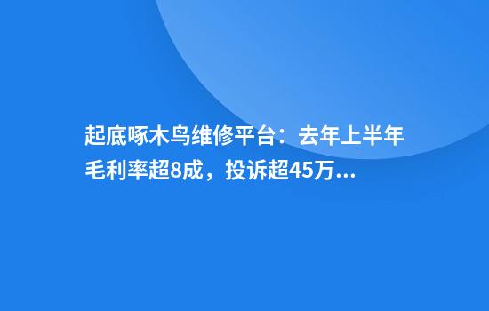 起底啄木鸟维修平台：去年上半年毛利率超8成，投诉超45万宗