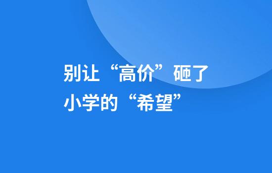 别让“高价”砸了小学的“希望”