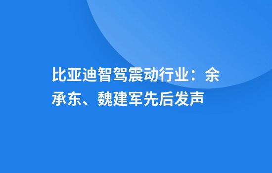 比亚迪智驾震动行业：余承东、魏建军先后发声