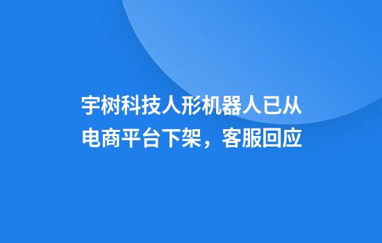 宇树科技人形机器人已从电商平台下架，客服回应