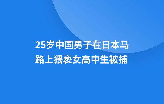 25岁中国男子在日本马路上猥亵女高中生被捕
