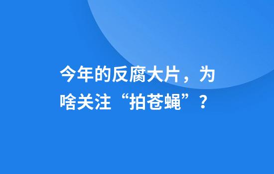 今年的反腐大片，为啥关注“拍苍蝇”？