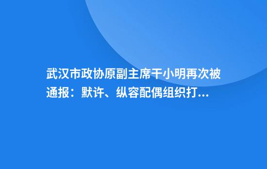 武汉市政协原副主席干小明再次被通报：默许、纵容配偶组织打麻将、“炸金花”