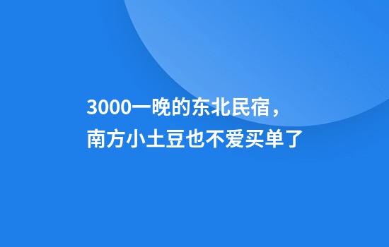 3000一晚的东北民宿，南方小土豆也不爱买单了