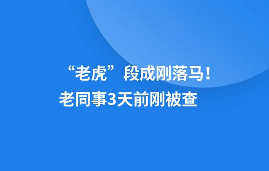“老虎”段成刚落马！老同事3天前刚被查