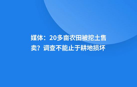 媒体：20多亩农田被挖土售卖？调查不能止于耕地损坏