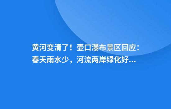 黄河变清了！壶口瀑布景区回应：春天雨水少，河流两岸绿化好，夏天会变黄