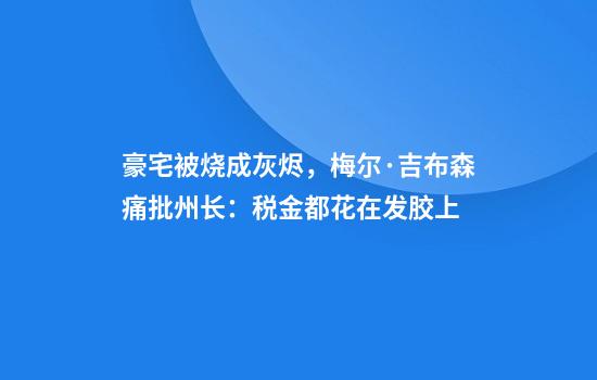 豪宅被烧成灰烬，梅尔·吉布森痛批州长：税金都花在发胶上