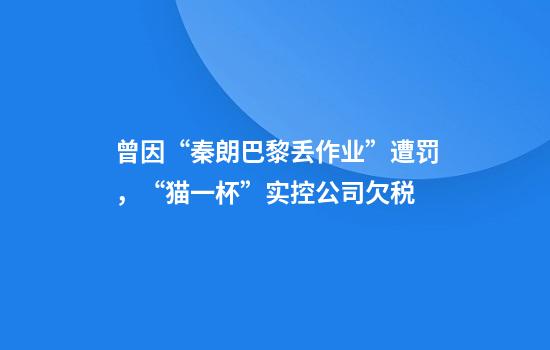 曾因“秦朗巴黎丢作业”遭罚，“猫一杯”实控公司欠税