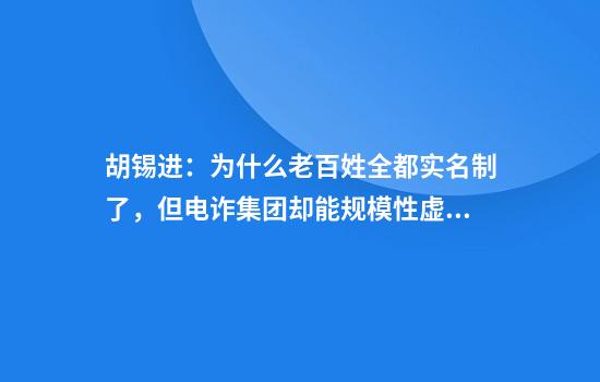 胡锡进：为什么老百姓全都实名制了，但电诈集团却能规模性虚拟隐身