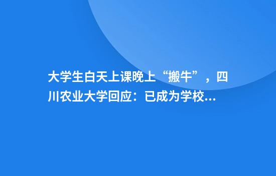 大学生白天上课晚上“搬牛”，四川农业大学回应：已成为学校传统