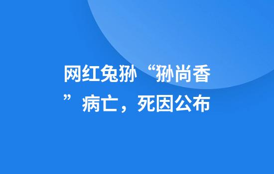 网红兔狲“狲尚香”病亡，死因公布