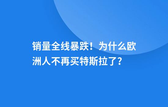 销量全线暴跌！为什么欧洲人不再买特斯拉了？