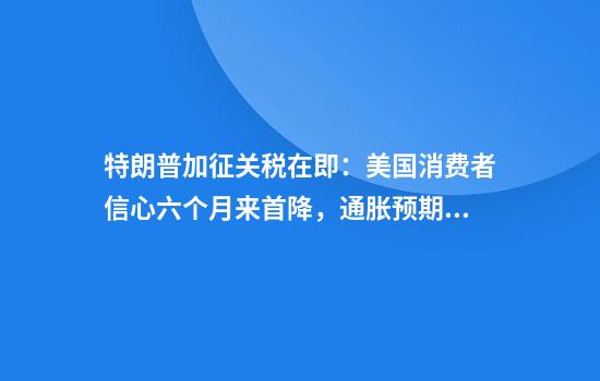 特朗普加征关税在即：美国消费者信心六个月来首降，通胀预期恶化