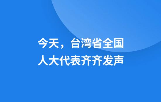 今天，台湾省全国人大代表齐齐发声