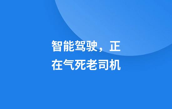 智能驾驶，正在气死老司机