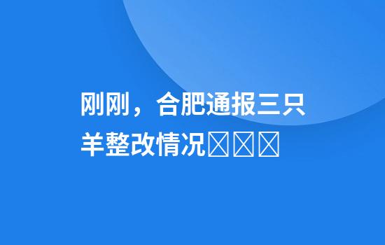 刚刚，合肥通报三只羊整改情况​​​