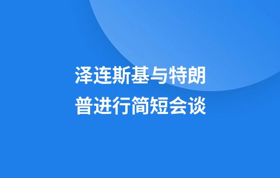 泽连斯基与特朗普进行简短会谈