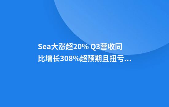 Sea大涨超20% Q3营收同比增长30.8%超预期且扭亏为盈