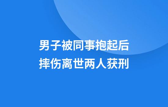 男子被同事抱起后摔伤离世两人获刑