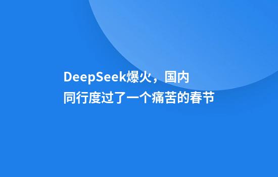 DeepSeek爆火，国内同行度过了一个痛苦的春节