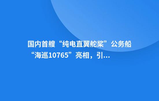 国内首艘“纯电+直翼舵桨”公务船“海巡10765”亮相，引领绿色护航