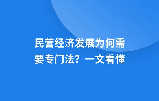 民营经济发展为何需要专门法？一文看懂