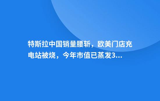 特斯拉中国销量腰斩，欧美门店充电站被烧，今年市值已蒸发3.5万亿