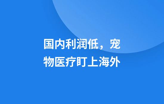 国内利润低，宠物医疗盯上海外
