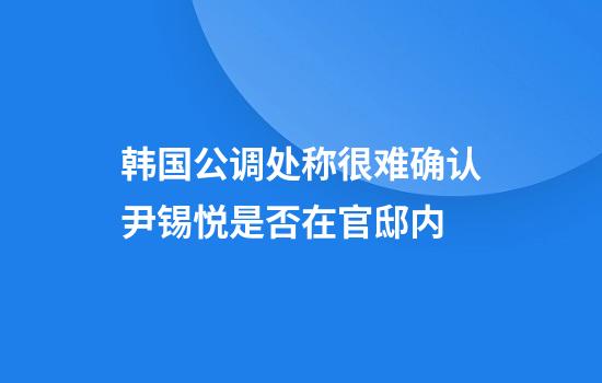 韩国公调处称很难确认尹锡悦是否在官邸内