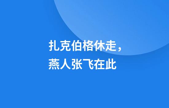 扎克伯格休走，燕人张飞在此