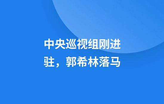 中央巡视组刚进驻，郭希林落马